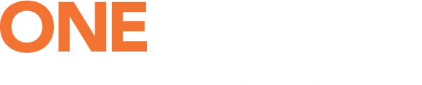 One Agency Northern Beaches Cairns Logo