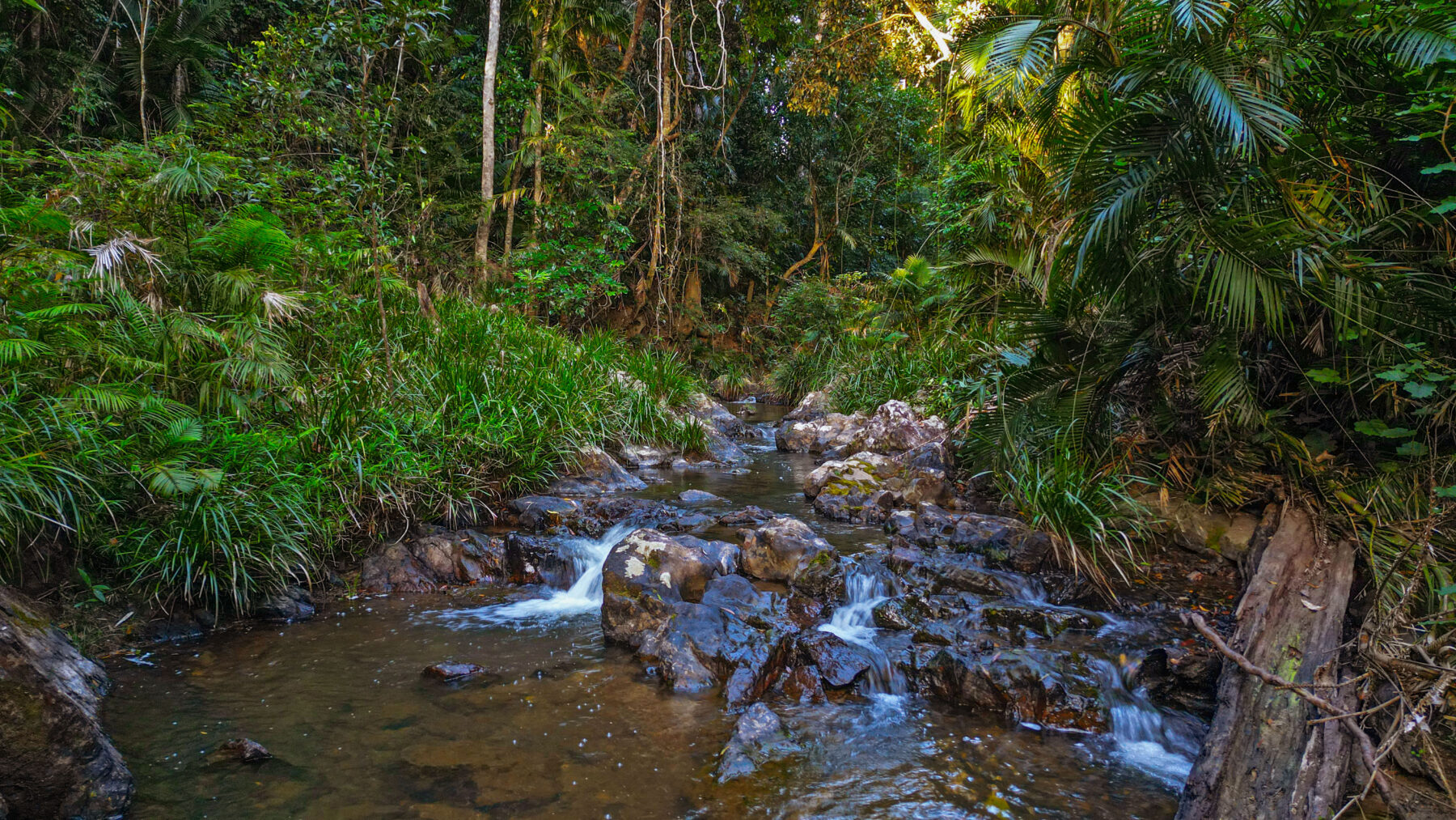 Property: 17 Butler Drive, KURANDA, QLD, 4881 photo-26