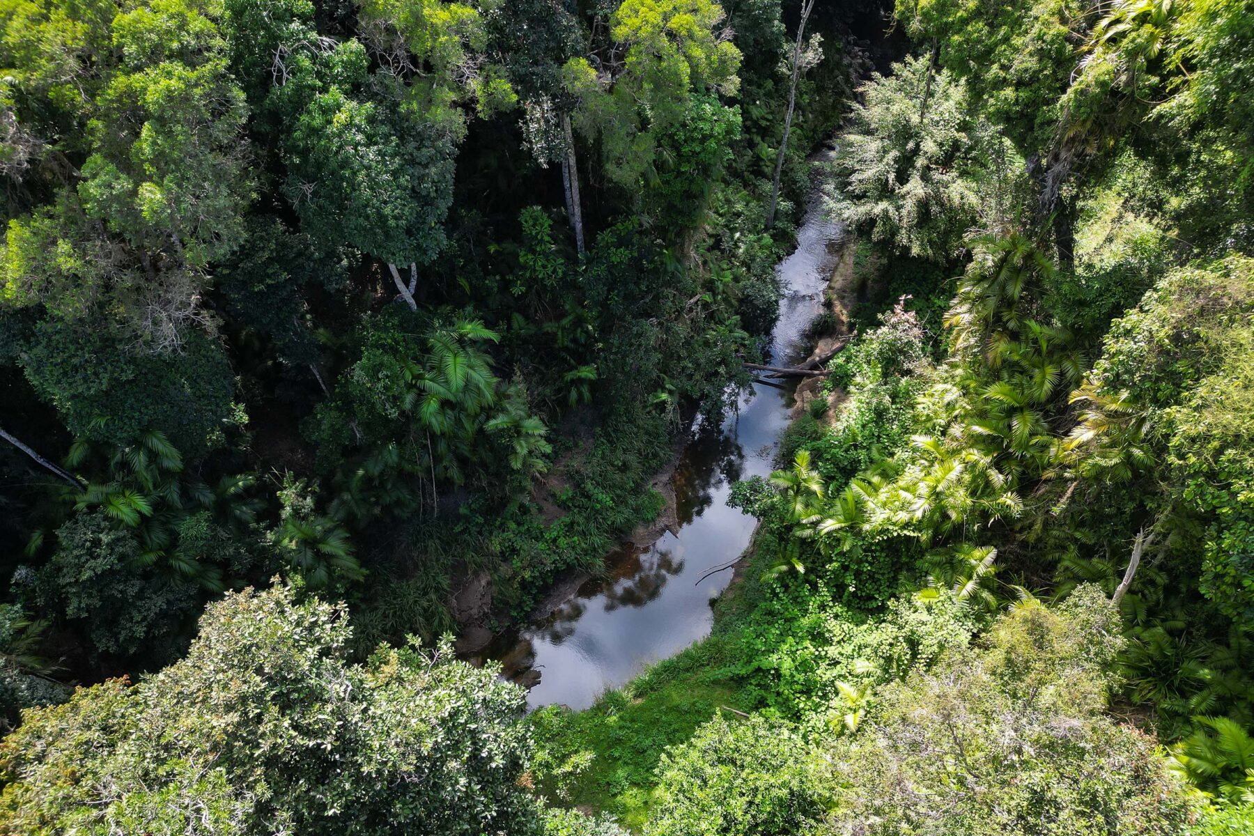 Property: 17 Butler Drive, KURANDA, QLD, 4881 photo-9