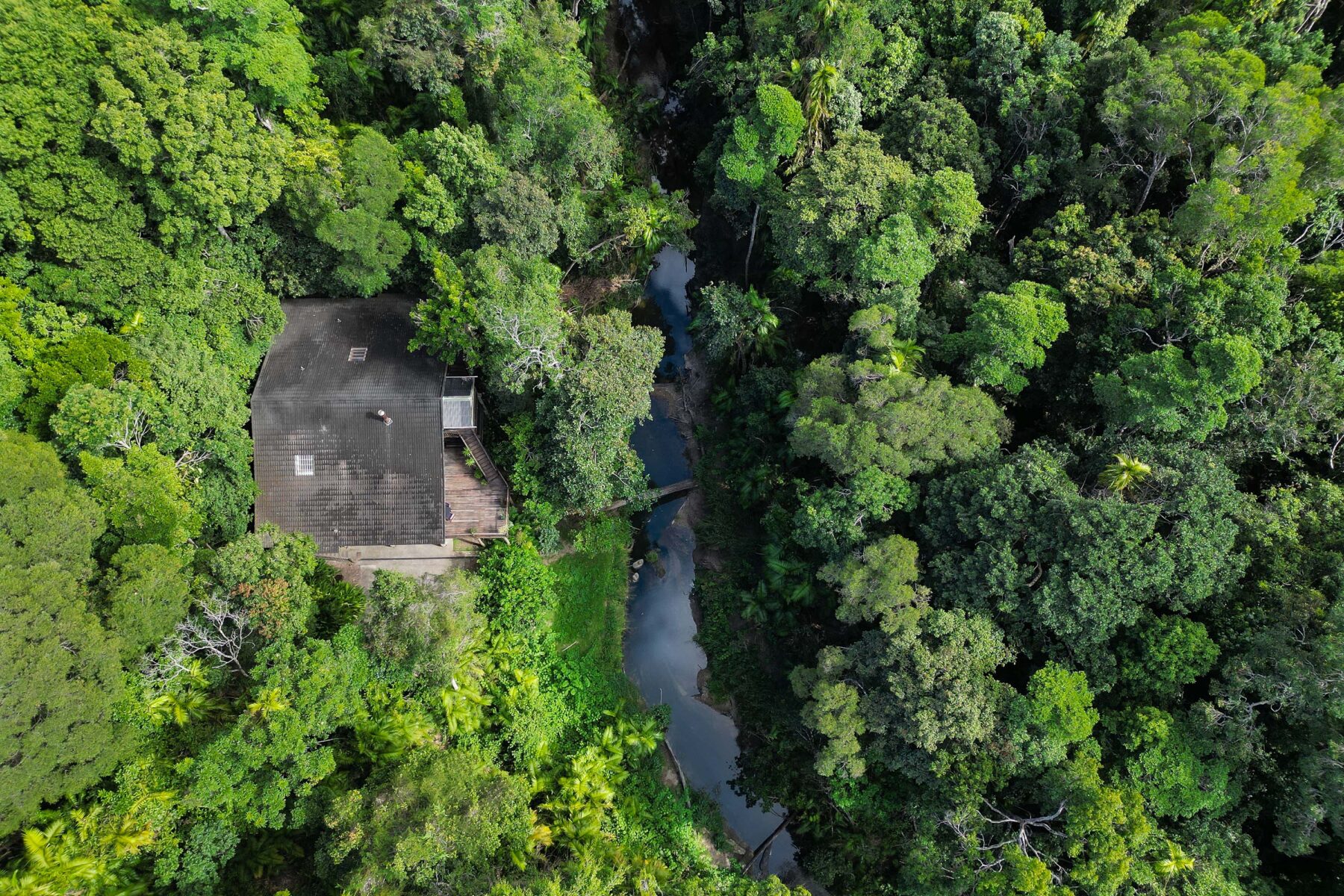 Property: 17 Butler Drive, KURANDA, QLD, 4881 photo-14