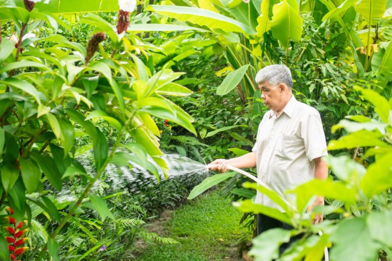 Adding sales value to your Cairns home with a garden makeover