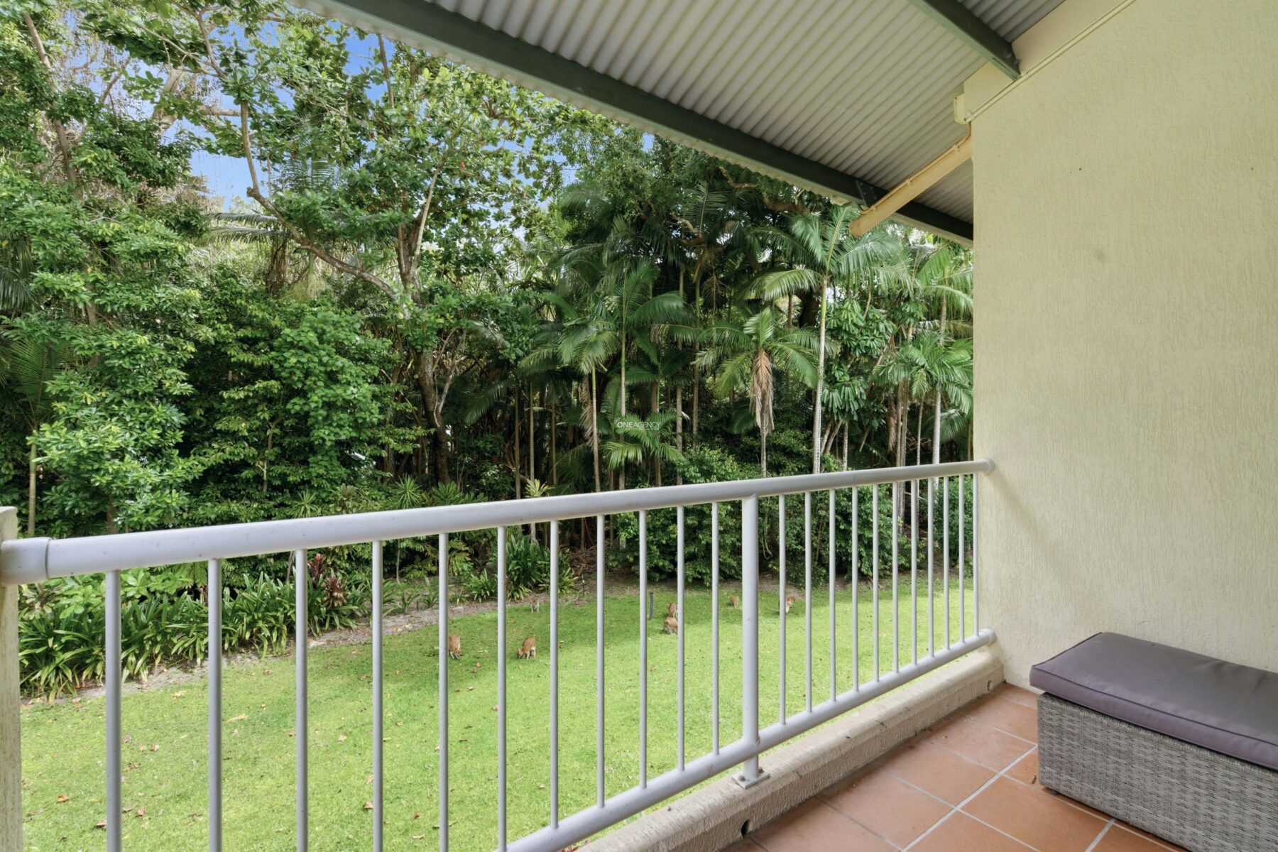Property: 229/2 Keem St, TRINITY BEACH, QLD, 4879 photo-11