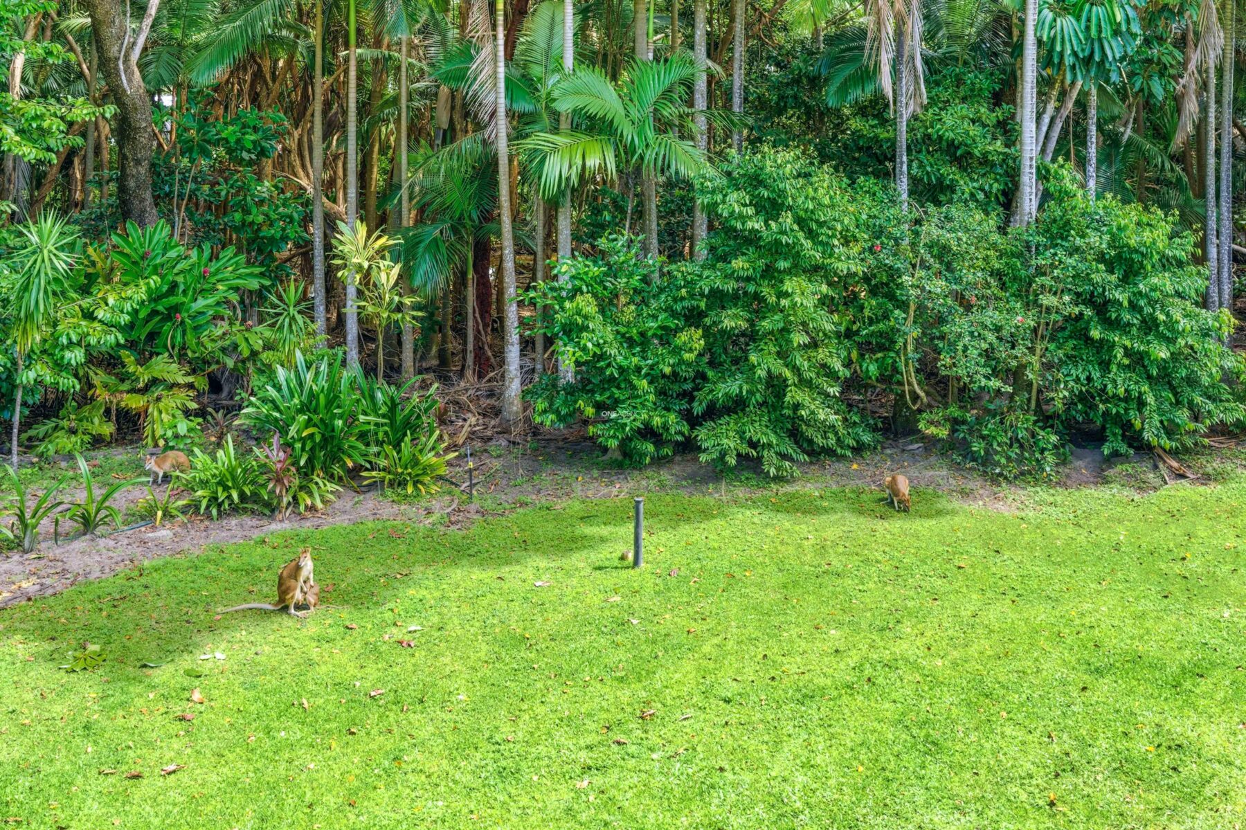 Property: 229/2 Keem St, TRINITY BEACH, QLD, 4879 photo-10